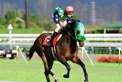 ディープ系種牡馬の1番馬がみんな母父キングヘイローな件