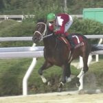 【兵庫チャンピオンシップ2022】結果・動画/ブリッツファングが圧勝