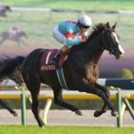 【日本ダービー】イクイノックス、ルメール「勝つ自信あります」