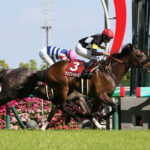 【京都新聞杯】アスクワイルドモア強すぎワロタwww