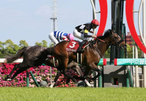 【京都新聞杯】波乱!8番人気アスクワイルドモアが優勝 1番人気ブラックブロッサムは5着