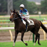 最も人気のあったアドマイヤの馬って何?