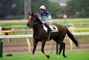 最も人気のあったアドマイヤの馬って何？