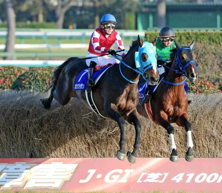 三大ダサい名前だけど強かった馬「オグリキャップ」「オジュウチョウサン」