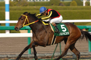 三大負けて強し 2009ブエナビスタ 2018キセキ