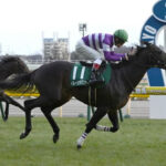 【競馬予想】[1]第72回安田記念(GⅠ) /2022