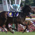 岡田牧雄代表「デアリングタクトに勝ってほしい気持ちは強いが、長期休養明けでGIは厳しいと思う」