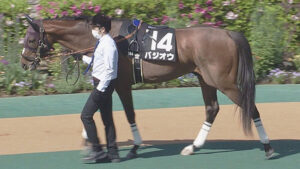 【競馬予想】第136回目黒記念（GII) /2022