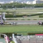 【競馬】天皇賞・春は横山和騎乗のタイトルホルダーがV