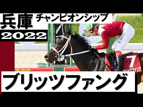 圧巻！ブリッツファング８馬身差で重賞初制覇【兵庫チャンピオンシップ2022】