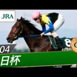2004年 毎日杯(GⅢ) | キングカメハメハ | JRA公式