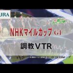 【調教動画】2022年 NHKマイルカップ|JRA公式