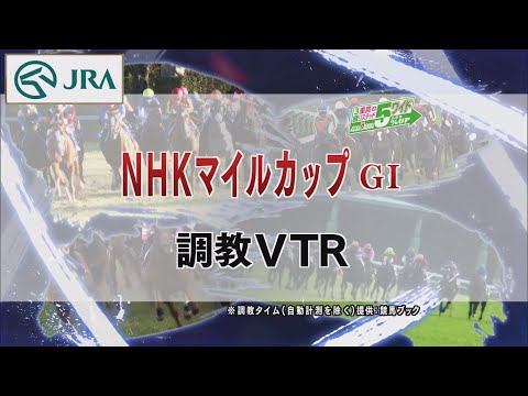 【調教動画】2022年 NHKマイルカップ｜JRA公式