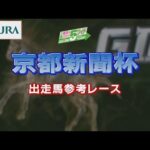 【参考レース】2022年 京都新聞杯|JRA公式