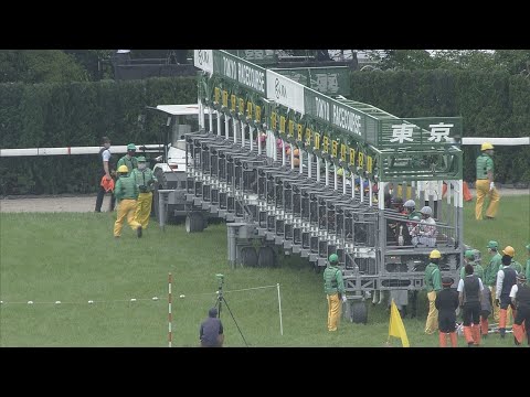 2022 NHK MILE CUP (G1) | JRA Official