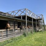 今日千葉にある馬小屋見てきたわ