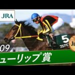 2009年 チューリップ賞(JpnⅢ) | ブエナビスタ | JRA公式