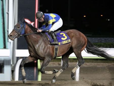 【地方競馬】大井のモジアナフレイバーが引退　大井記念など重賞4勝