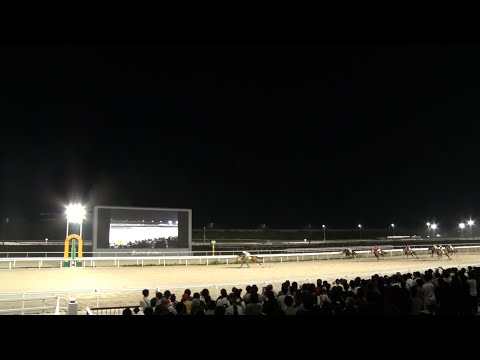 アタック！地方競馬｜第163回｜名古屋競馬場  初めてのナイター競馬｜NAR公式 ｜