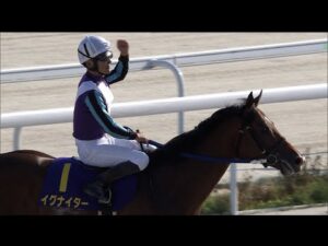 アタック！地方競馬｜第164回｜ダートグレード競走連勝中！  イグナイター｜NAR公式