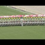 2022 YUSHUN HIMBA (JAPANESE OAKS) (G1) | JRA Official