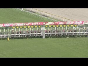 2022 YUSHUN HIMBA (JAPANESE OAKS) (G1) | JRA Official