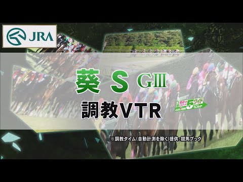 【調教動画】2022年 葵ステークス｜JRA公式