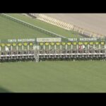 2022 MEGURO KINEN (G2) | JRA Official