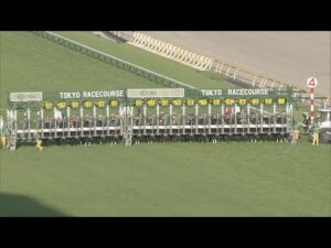 2022 MEGURO KINEN (G2) | JRA Official