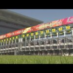 2022 TOKYO YUSHUN (JAPANESE DERBY) (G1) | JRA Official