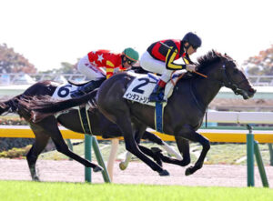 【競馬予想】[1]第27回NHKマイルカップ(GⅠ) /2022