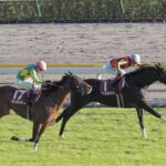 【競馬予想】[1] 第17回ヴィクトリアマイル(GⅠ) /2022