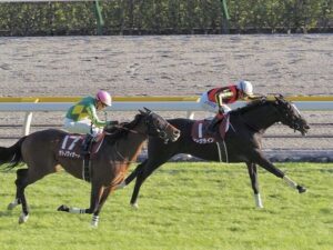 【競馬予想】[1] 第17回ヴィクトリアマイル(GⅠ) /2022