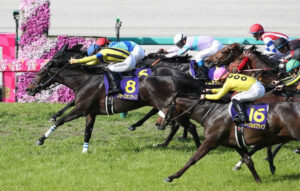 桜花賞馬スターズオンアース川田降板 ルメールでオークスへ