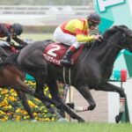 【競馬予想】[2]第83回オークス(GⅠ) /2022