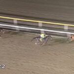 【かしわ記念2022】結果・動画/ショウナンナデシコが逃げ切り勝ち