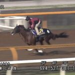 【NHKマイルカップ2022】追い切り/抜群の動きを見せたのは