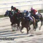 【かきつばた記念2022】結果・動画/イグナイターが抜け出し快勝