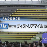ヴィクトリアマイルのパドック診断