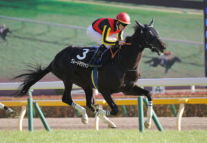 グレートマジシャンが関越ステークスで復帰へ