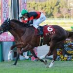 【競馬予想】[2]第27回NHKマイルカップ(GⅠ) /2022