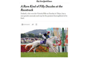 ソダシちゃんと吉田隼人さんニューヨークタイムズに載る