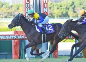 秋華賞馬アカイトリノムスメ 競争登録抹消繁殖入り