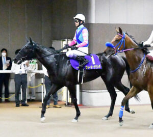 ウォーターナビレラ武豊が恨み節「ゲートで待たされて突進してしまいました」