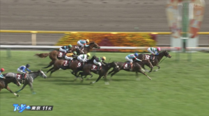 【京王杯SC】メイケイエール強すぎワロタ w w w