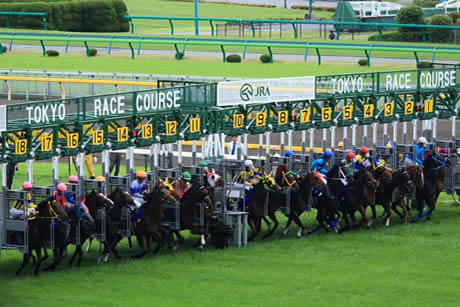 【日本ダービー】4強の中で飛ぶ馬