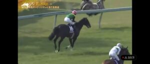 【競馬】天皇賞・春　シルヴァーソニック　スタート直後に落馬→他馬を邪魔する→背面飛びでびっくりさせる→寝る→馬運車に乗って帰る