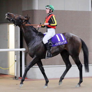 【NHKマイルC】インダストリア、レーン下手すぎワロタwww