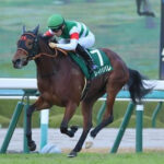 【競馬予想】[3] 第17回ヴィクトリアマイル(GⅠ) /2022