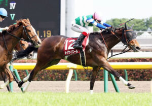 【京王杯SC】メイケイエール強すぎワロタwwww